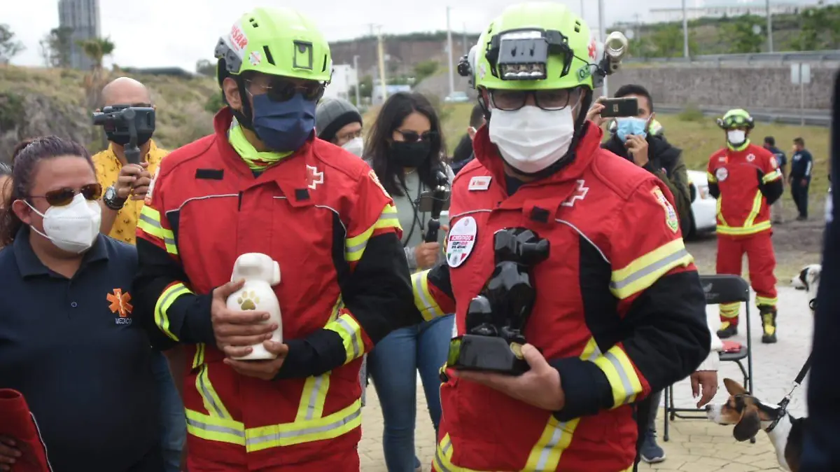 Cenizas perros rescatistas